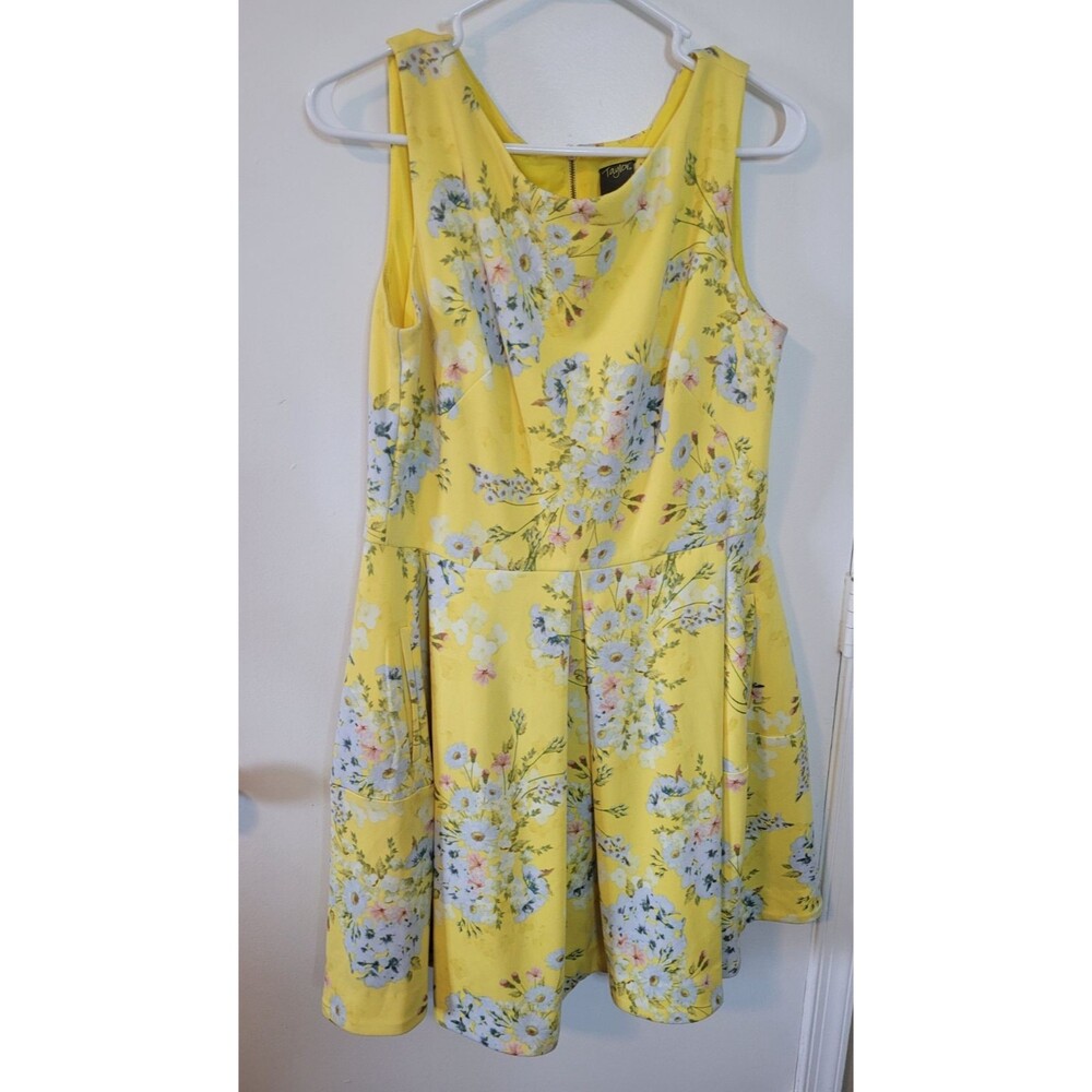 Taylor Sleeveless Boat Neck Floral Print Dress Sz 14